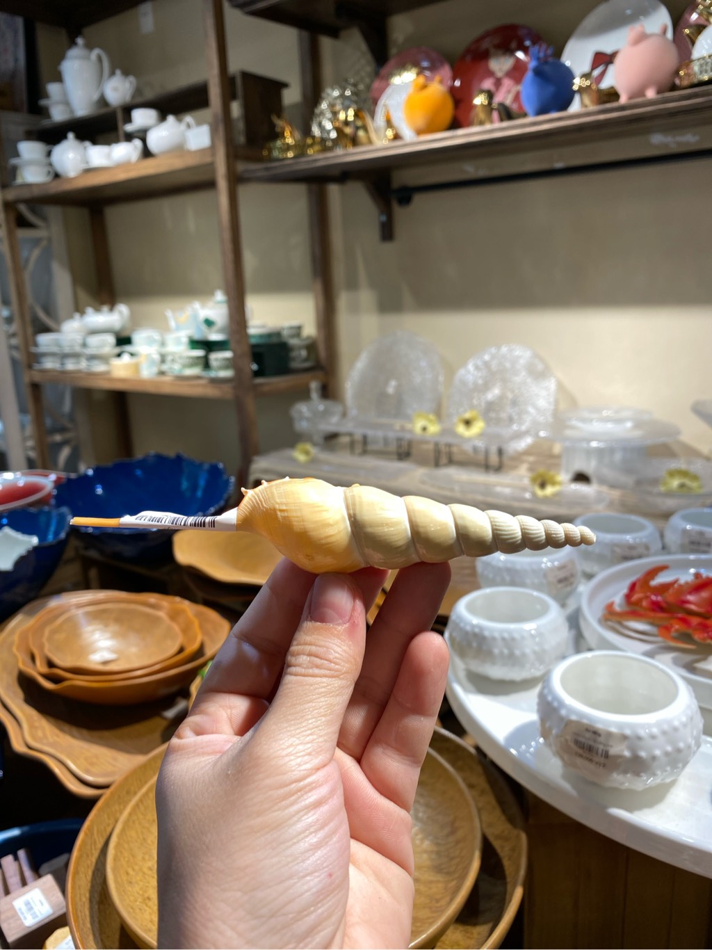 Ốc ngòi