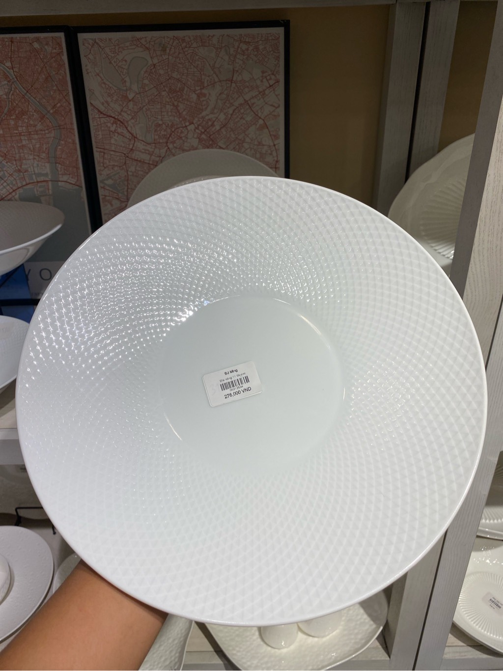 Đĩa nông 11 Skynet