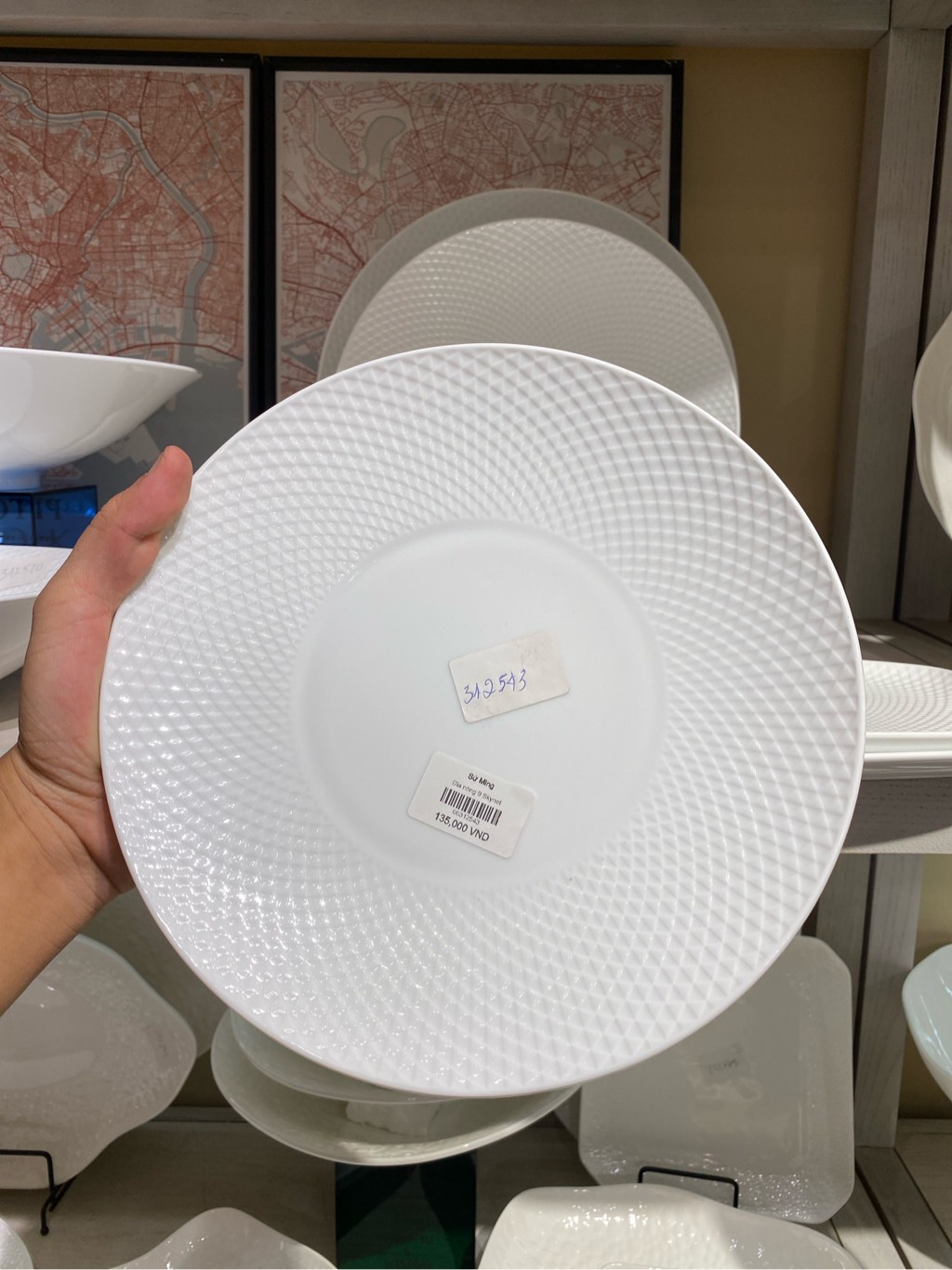Đĩa nông 9 Skynet