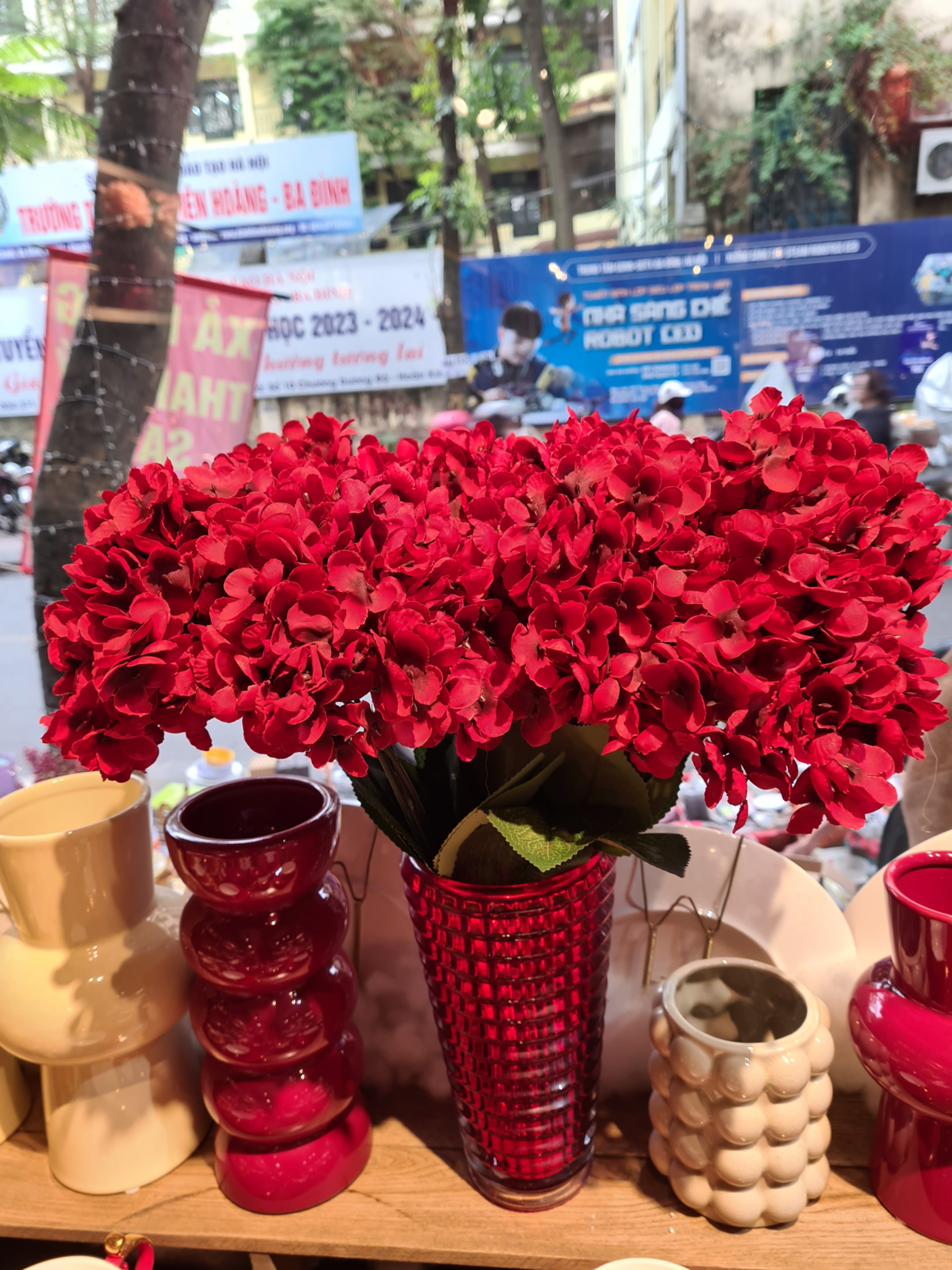 Cành cẩm tú cầu