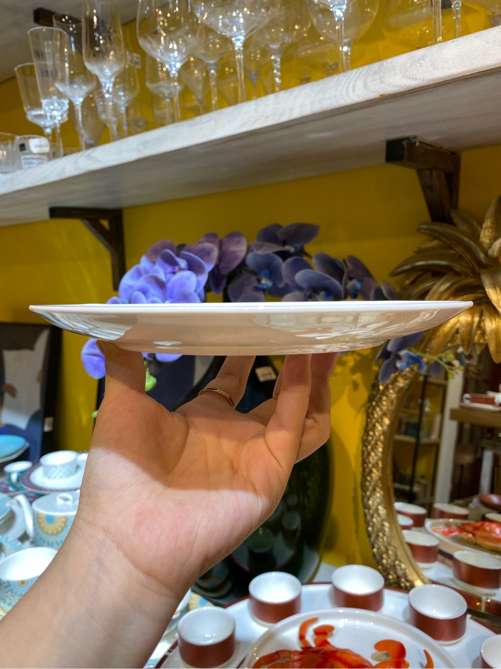 Đĩa ảo 8inch sắc màu