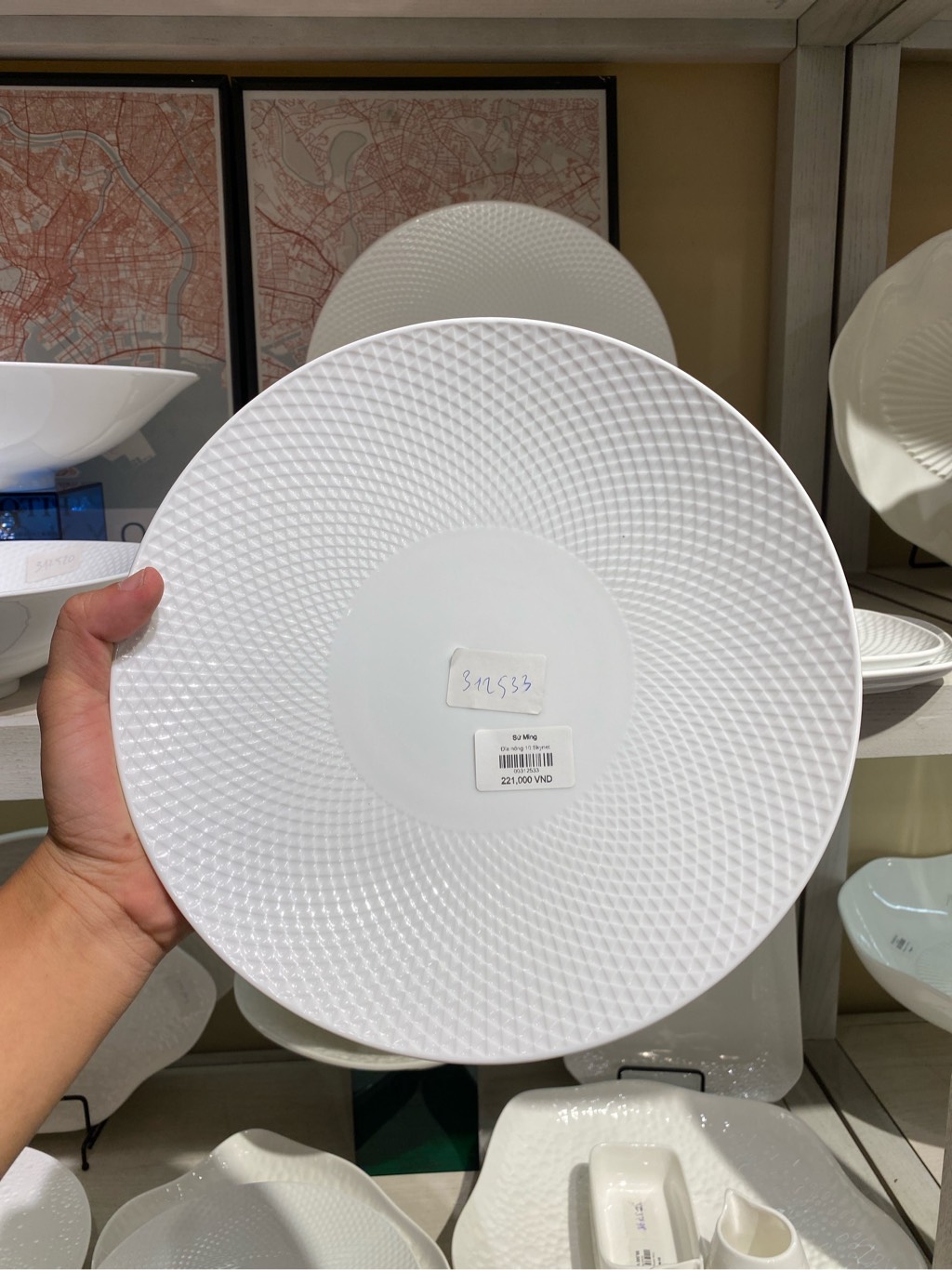 Đĩa nông 10 Skynet