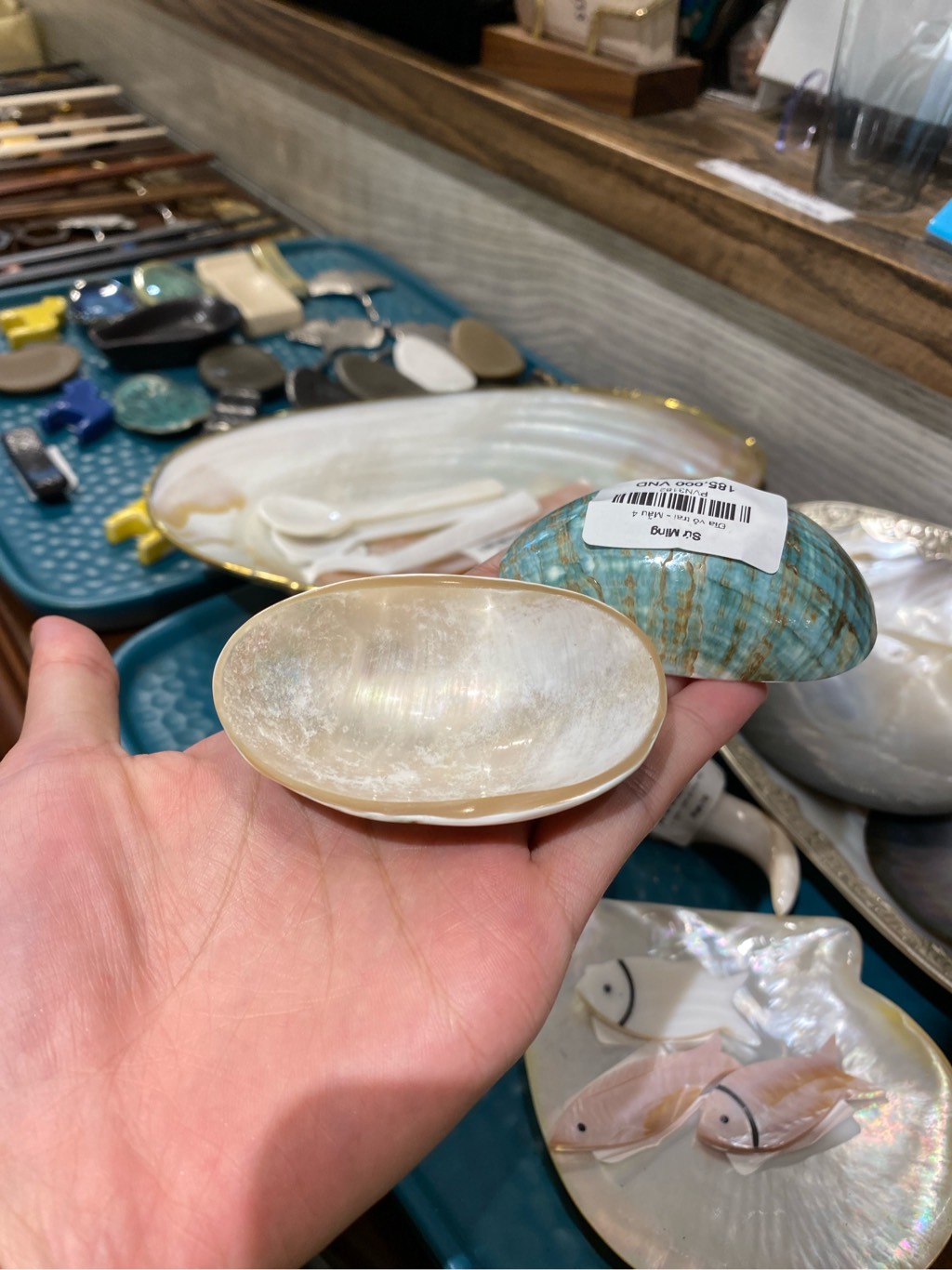 Đĩa vỏ trai