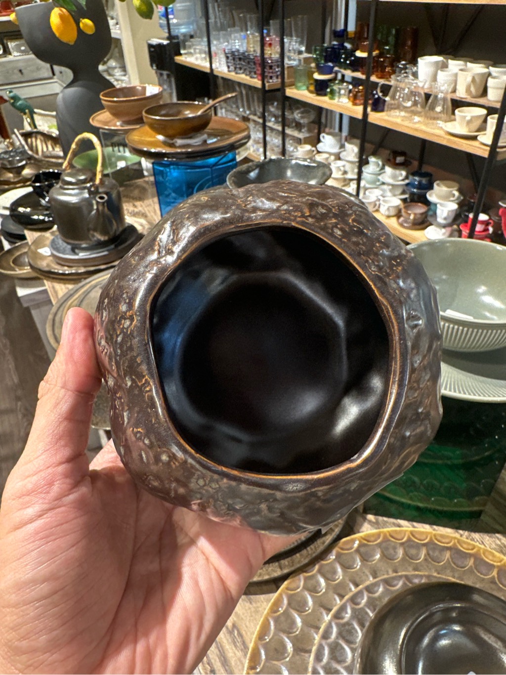 Quả dừa đen đá