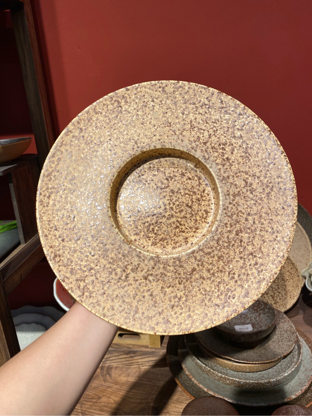 Đĩa soup 11inch phun nâu