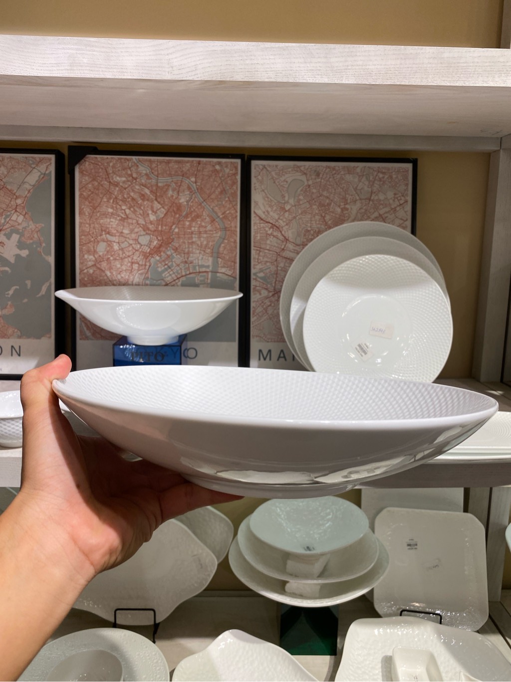 Đĩa sâu 11.5inch Skynet