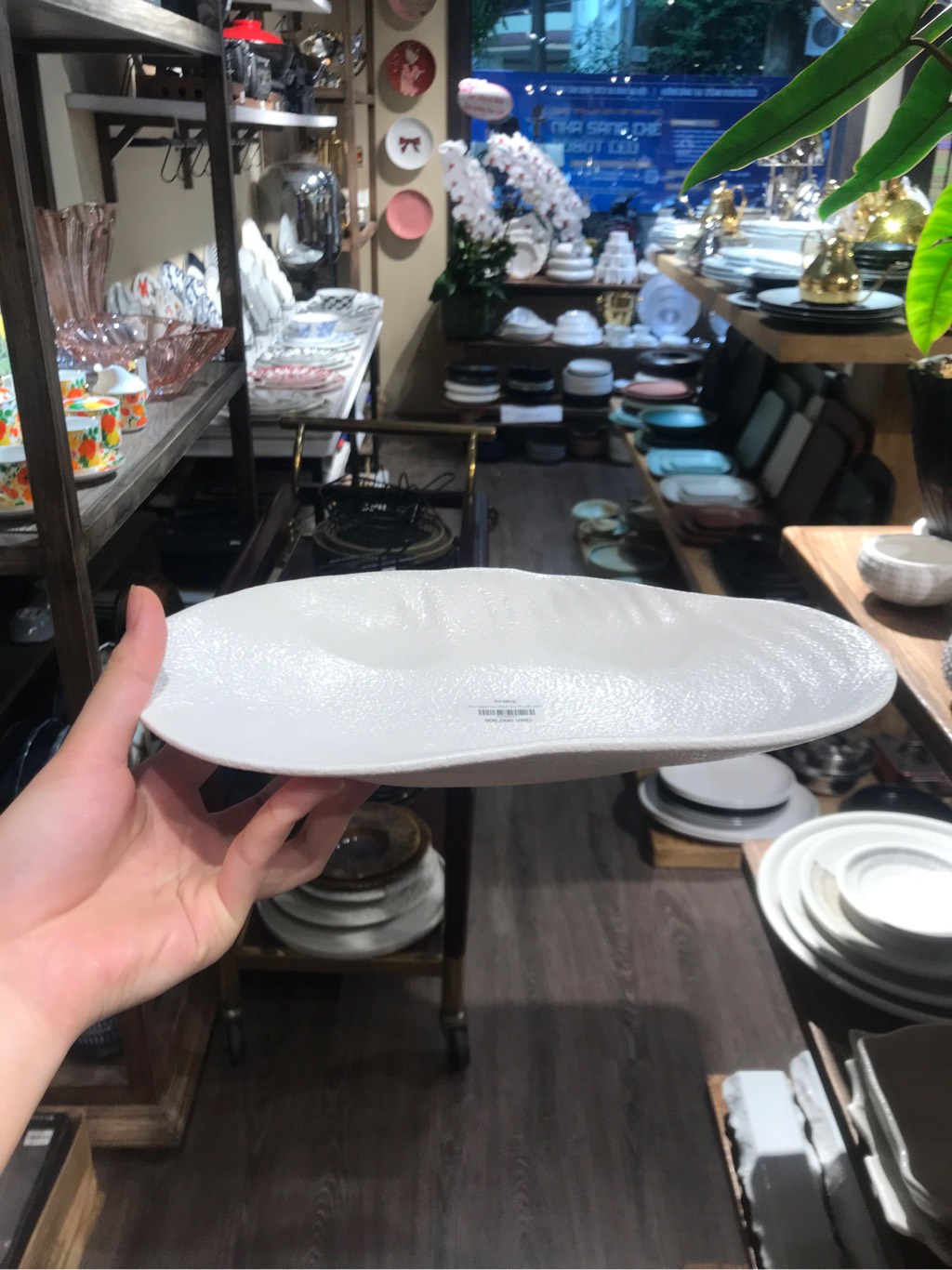 Dĩa ngọc trai 29.5 cm Tuyết trắng
