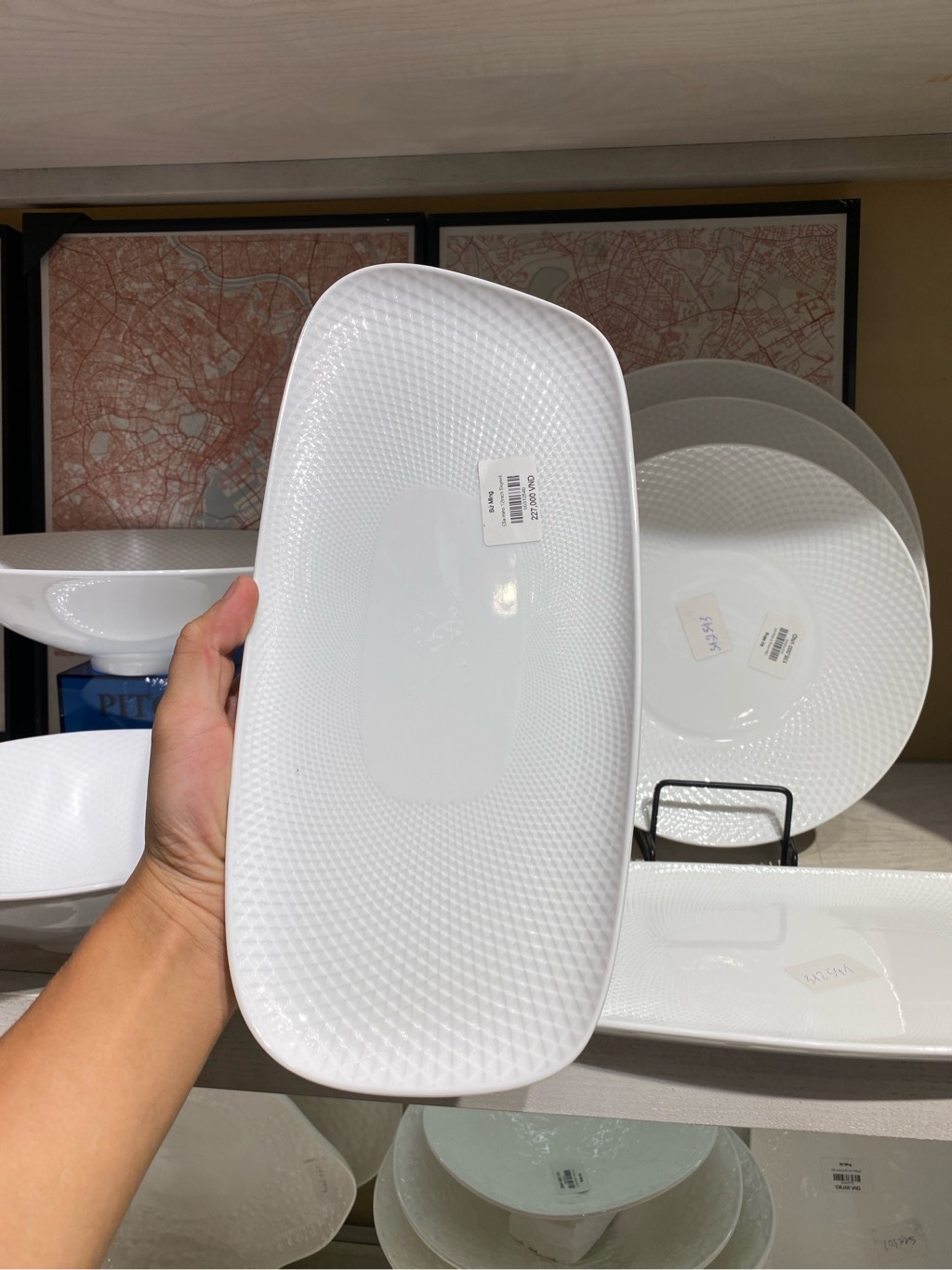 Đĩa méo 12inch Skynet