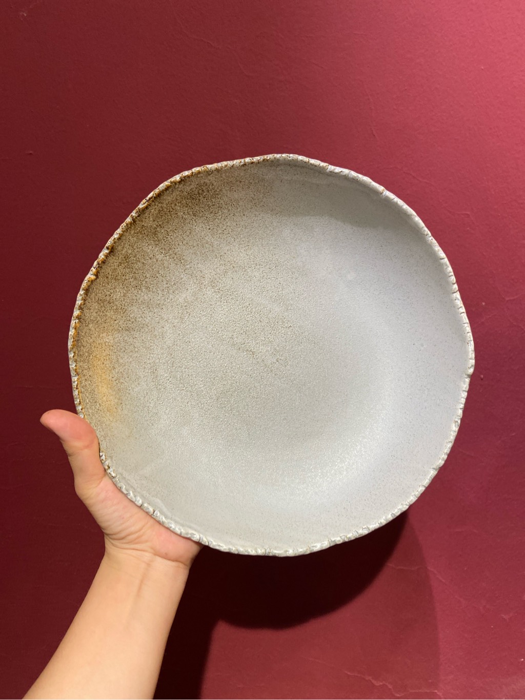 Đĩa sâu 10inch màu ghi