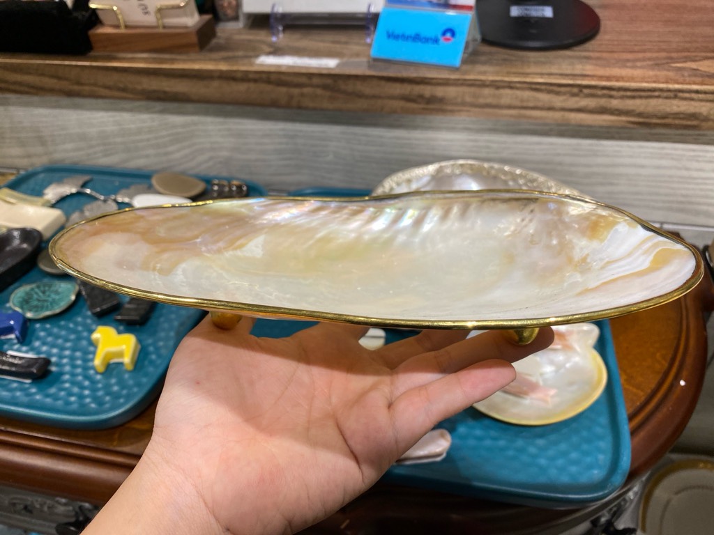 Đĩa vỏ trai