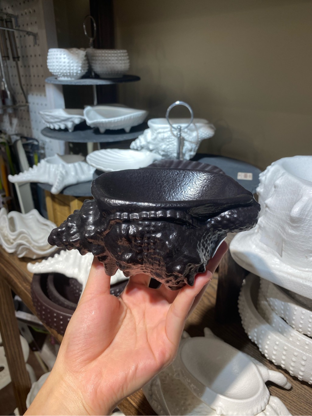 Chén ốc gai vàng 16x9.5cm màu đen