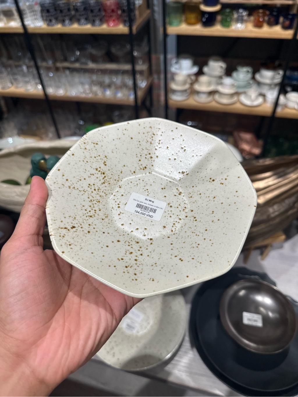 Đĩa lục giác sâu 6 kem chấm nâu