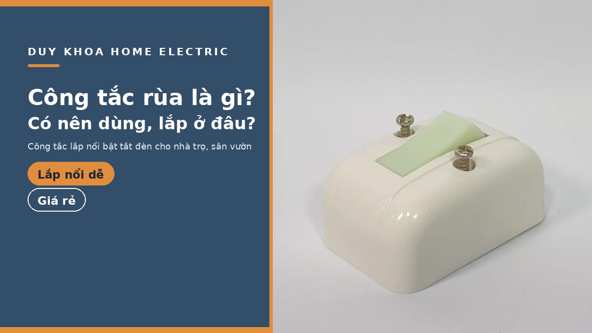 Công tắc rùa là gì? Có nên dùng, lắp ở đâu và cách chọn an toàn