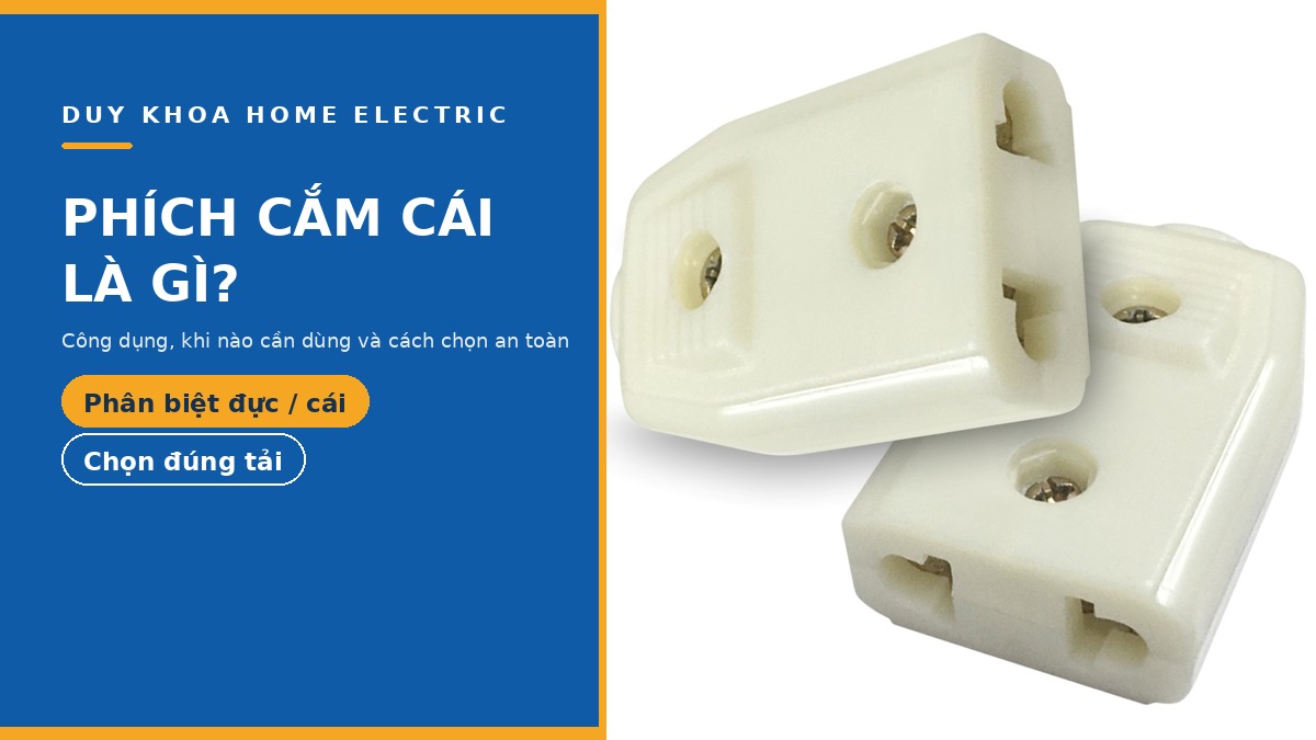 Phích cắm cái là gì? Công dụng, khi nào cần dùng và cách chọn an toàn