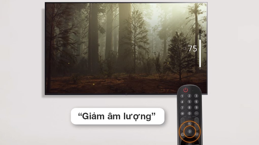 Smart Tivi LG UHD 4K 43 inch 43UQ7050