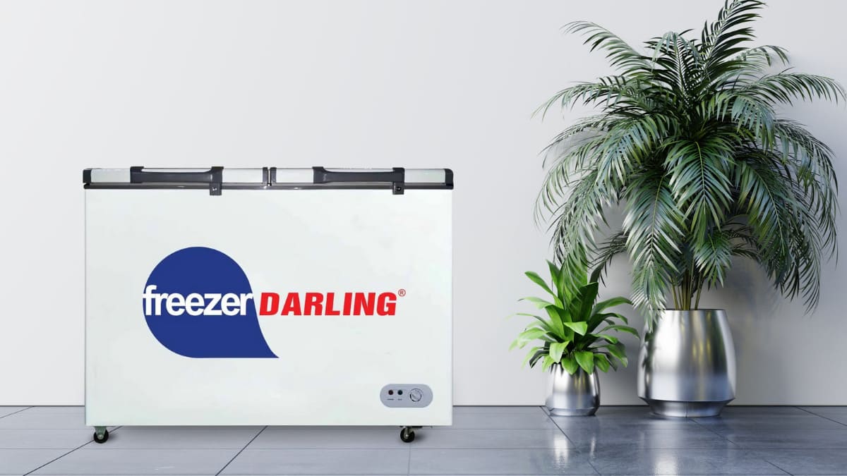 Tủ đông Darling sở hữu thiết kế tối giản, thân thuộc