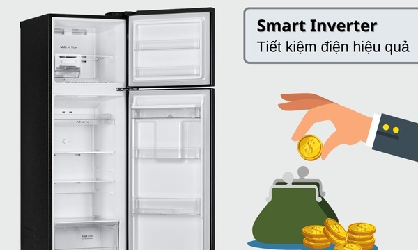Tủ lạnh LG Inverter 264 Lít GV-D262BL