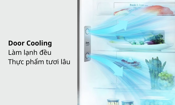 Tủ lạnh LG Inverter 264 Lít GV-D262BL