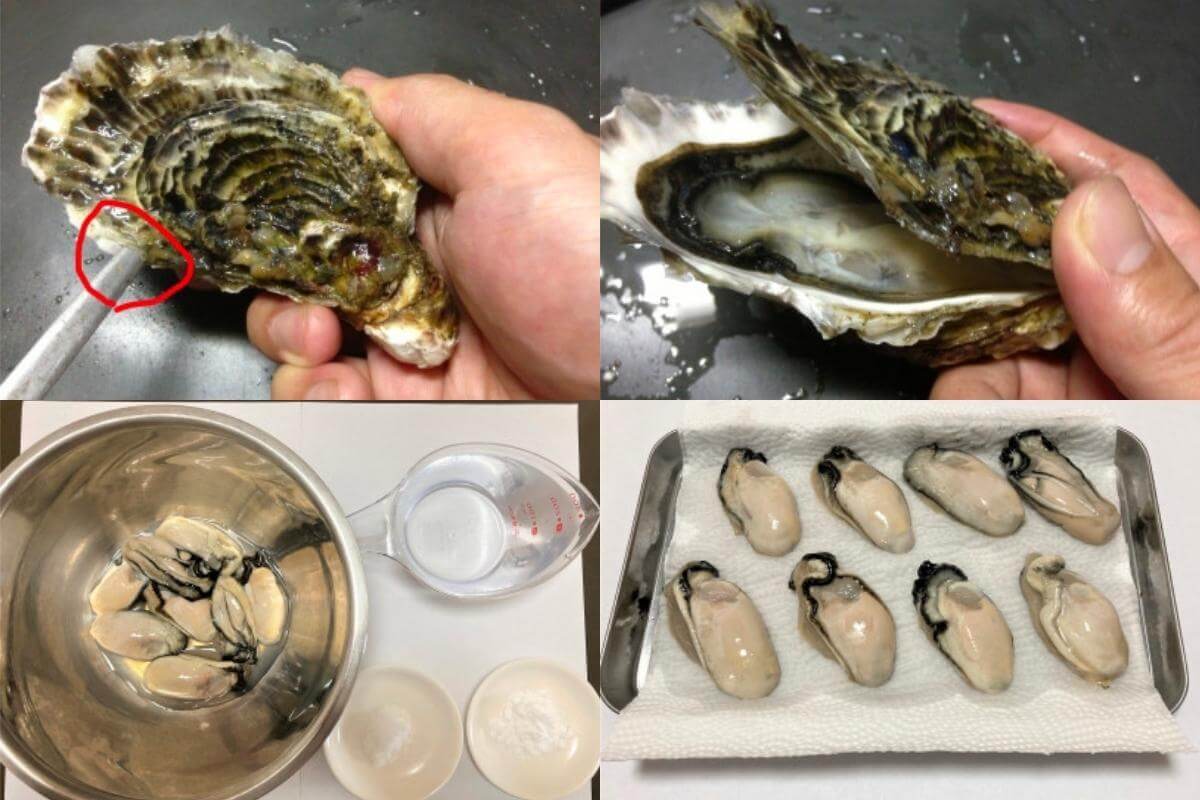 Hướng dẫn cách tách vỏ hàu sữa và vệ sinh trước khi chế biến