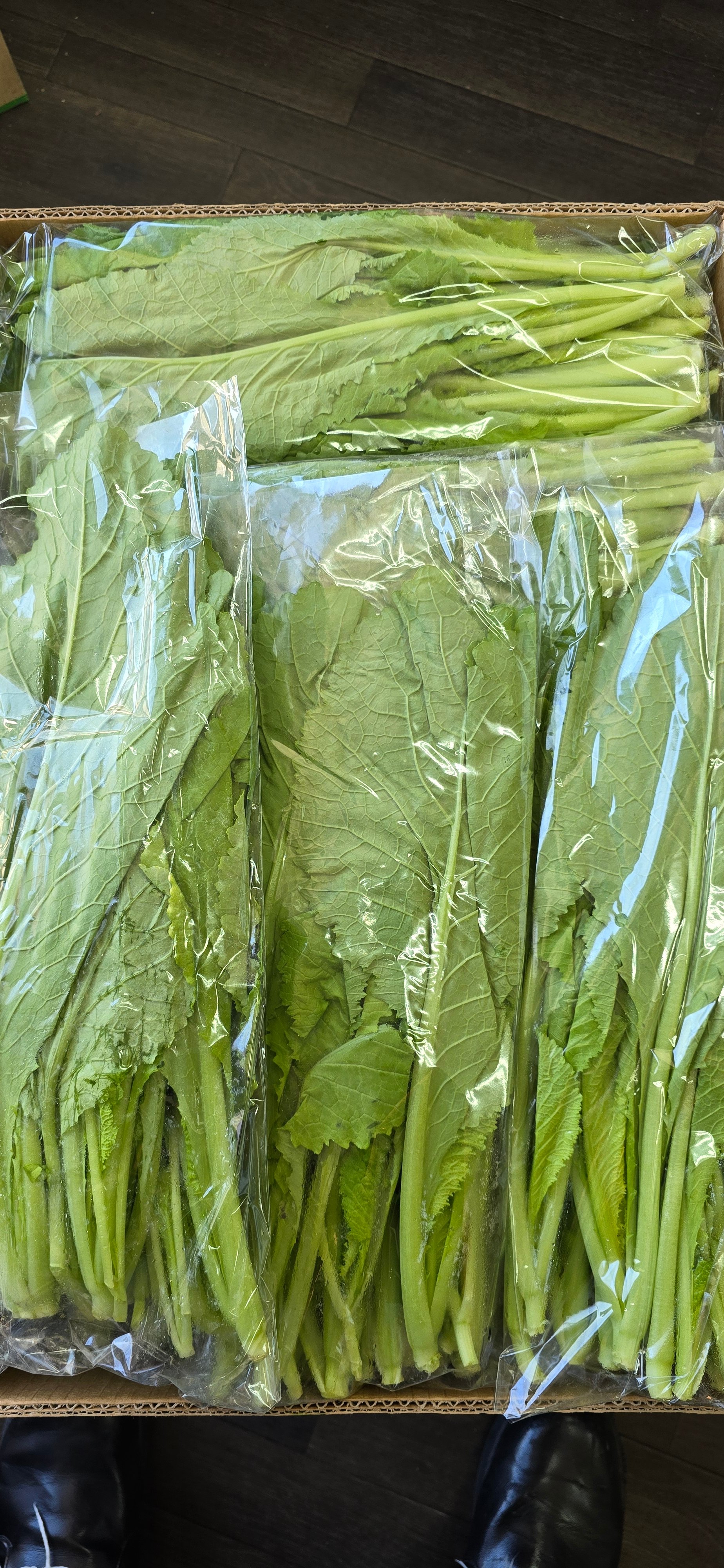 Cải cay