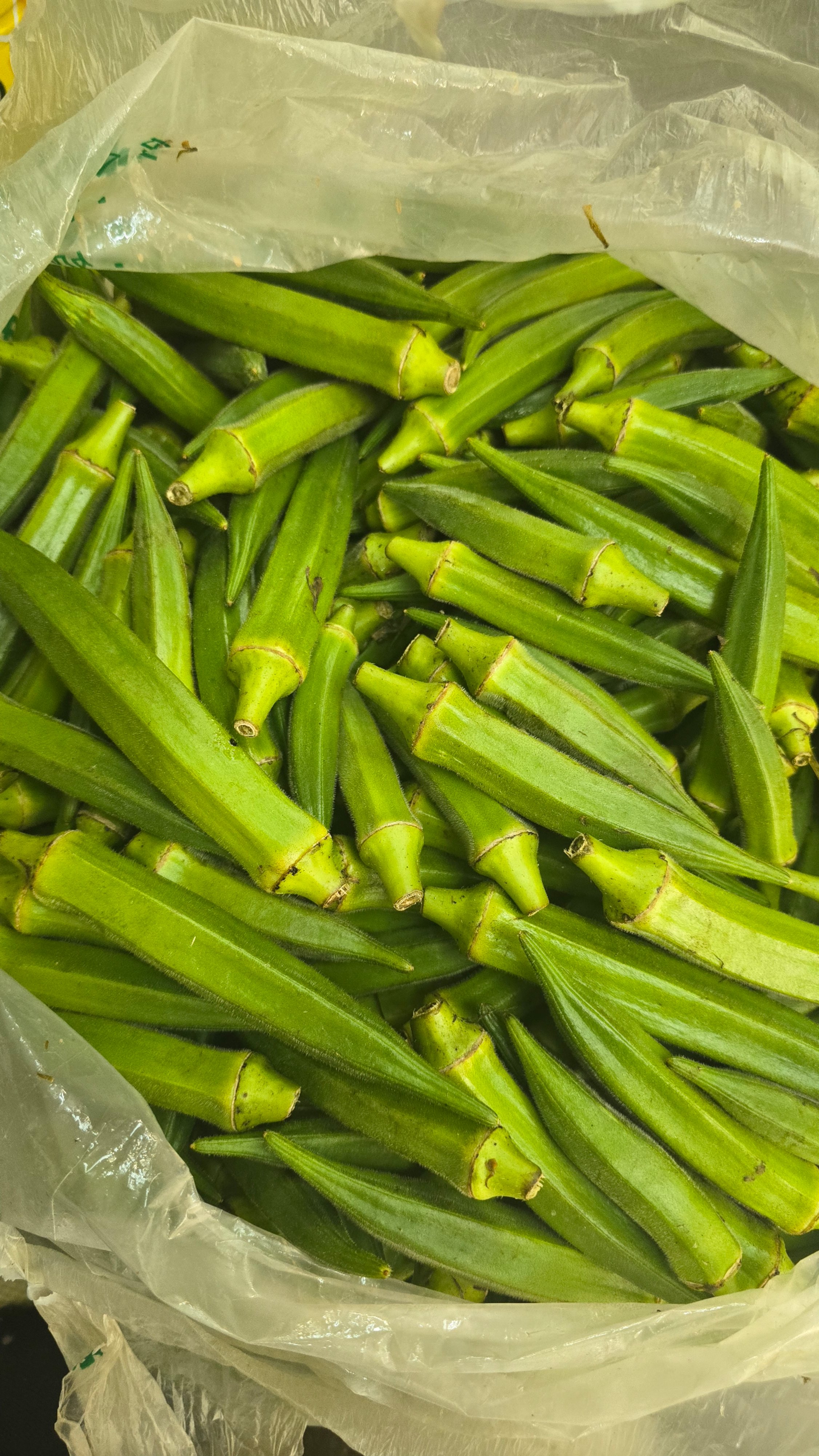 đậu bắp