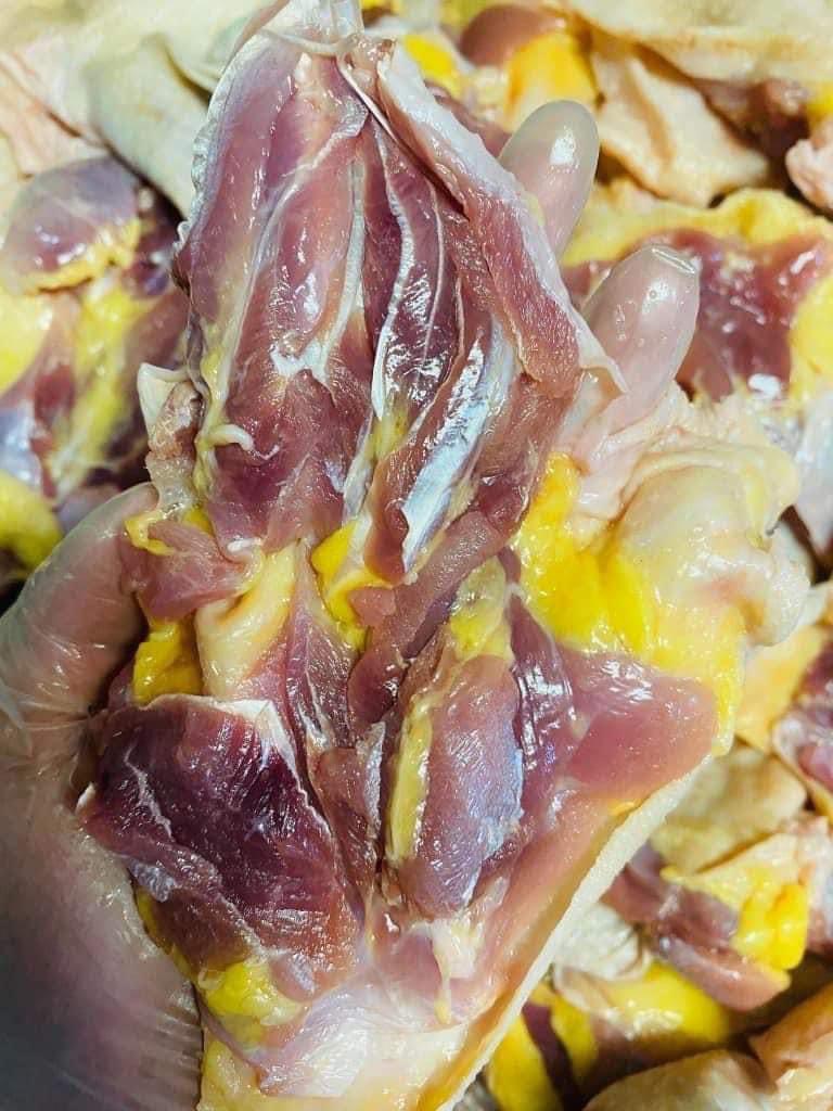 Đùi gà dai rút xương 骨抜き親鳥モモ肉
