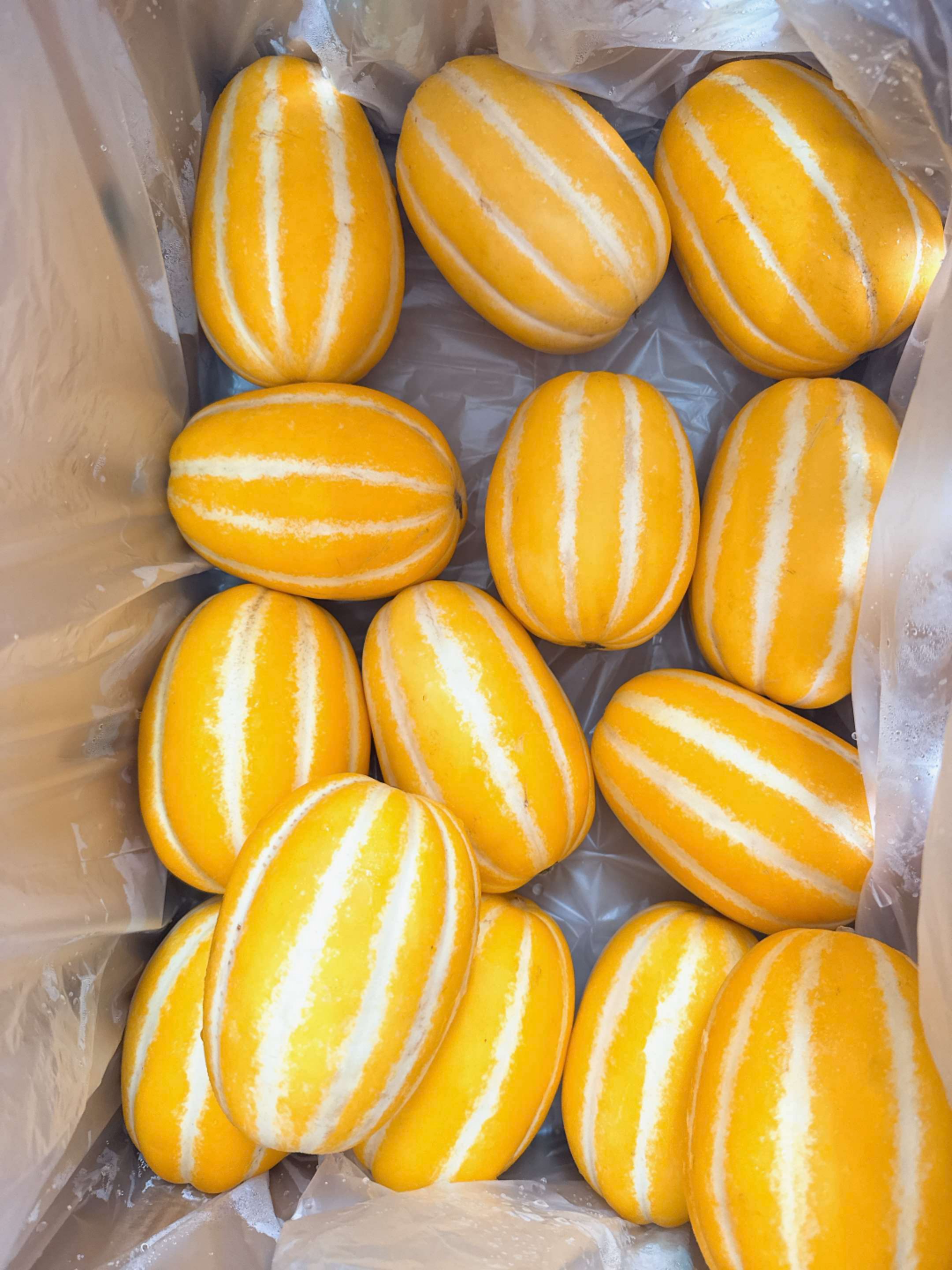 Dưa Hàn
