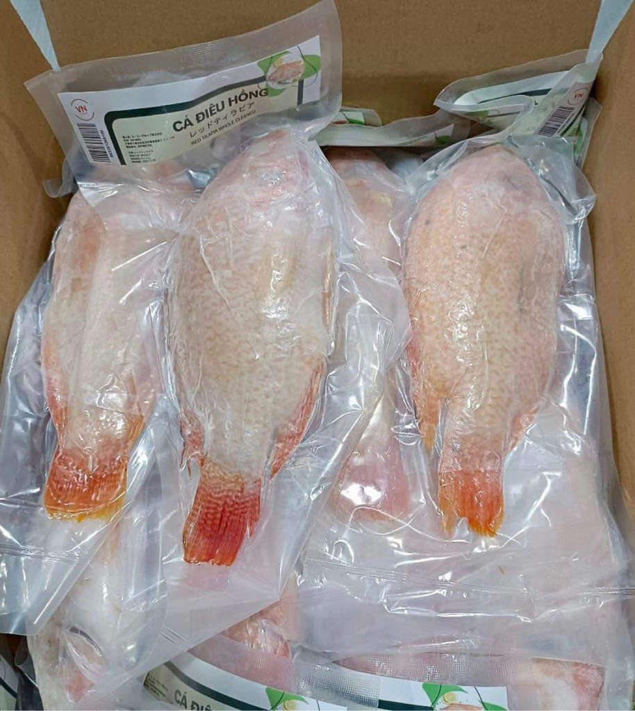 Cá diêu hồng nguyên con-kg ( 0.8- 0.9kg/con)