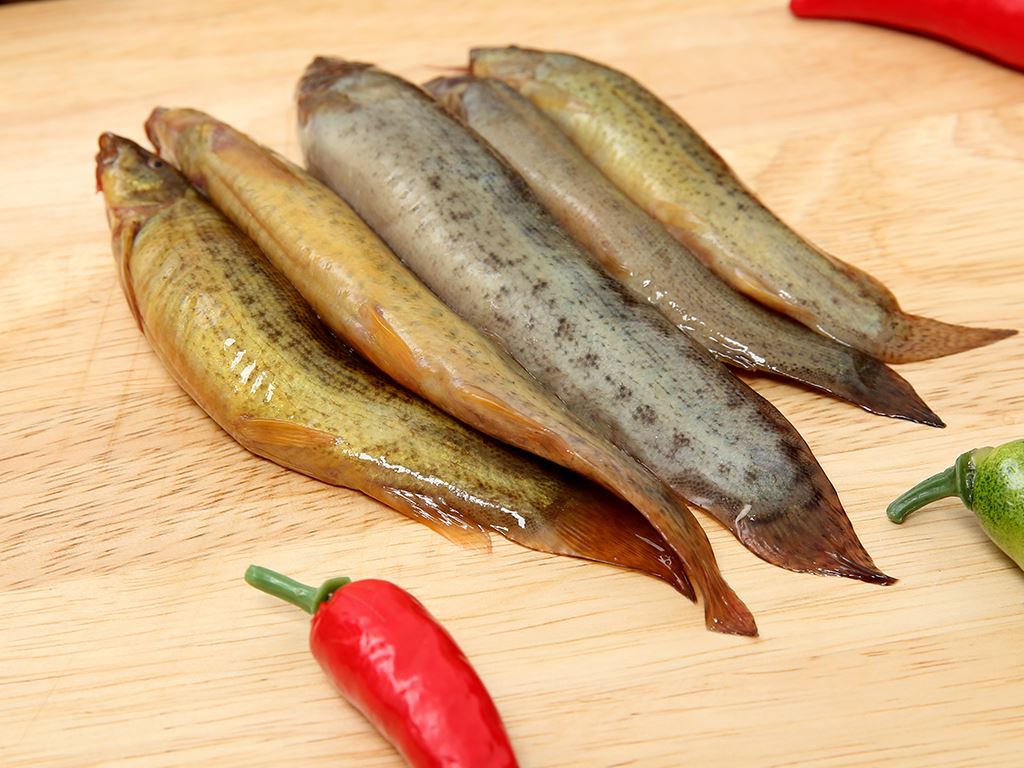 Cá chạch
