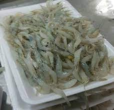 Tôm sông ( Tép) 500gram
