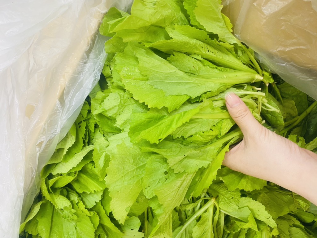 cải canh túi