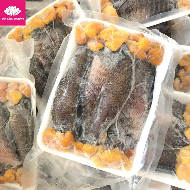 cá sặc trứng