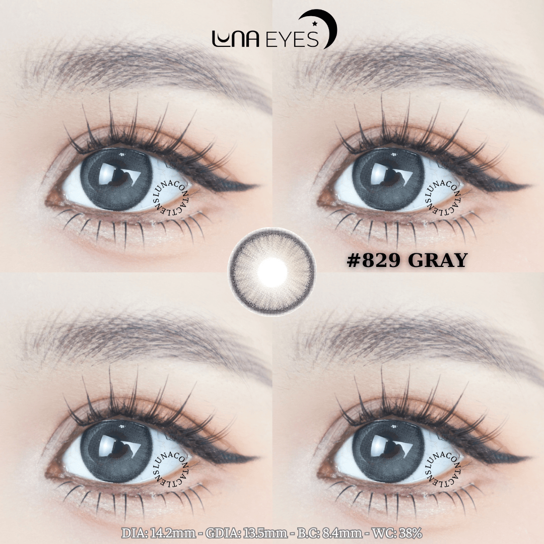 829 GRAY - size vừa