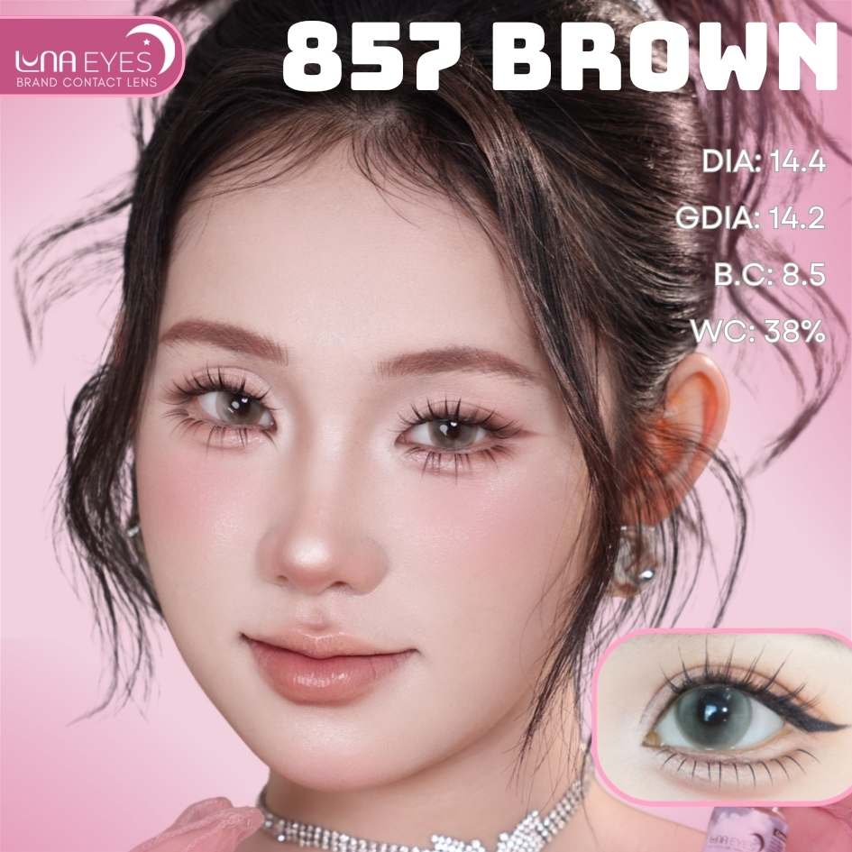 (HOT) 857 BROWN - size lớn