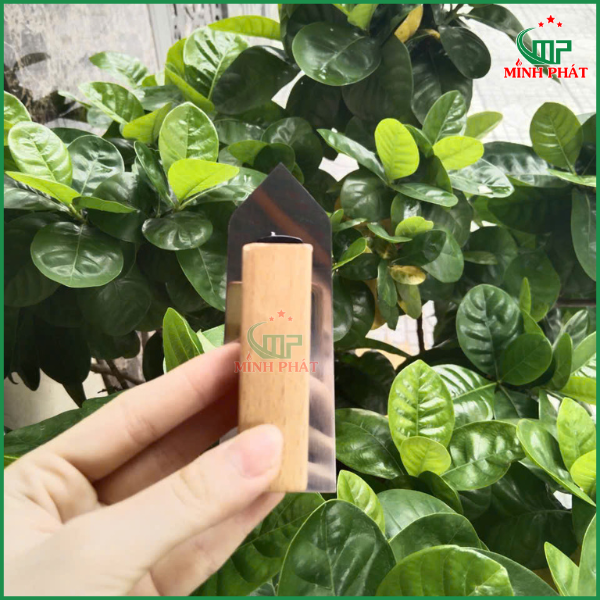 bộ dao bay mini inox cán gỗ