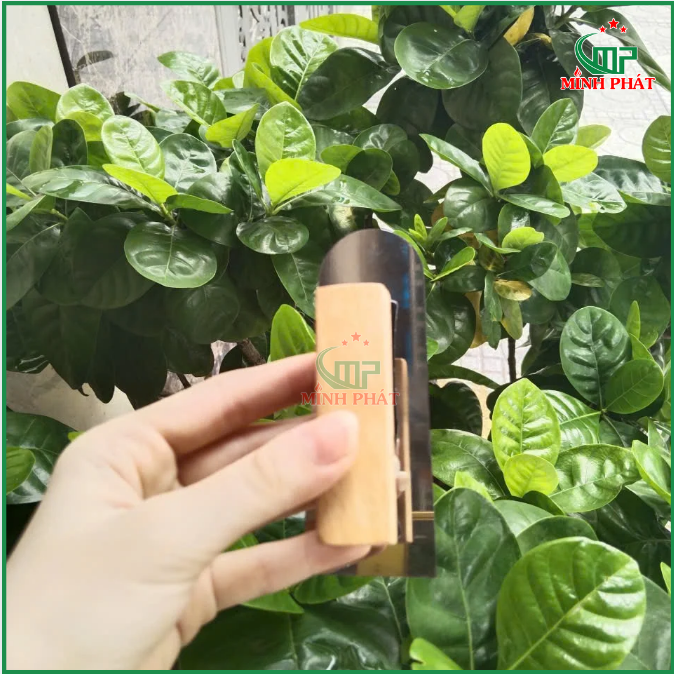 bộ dao bay mini inox cán gỗ