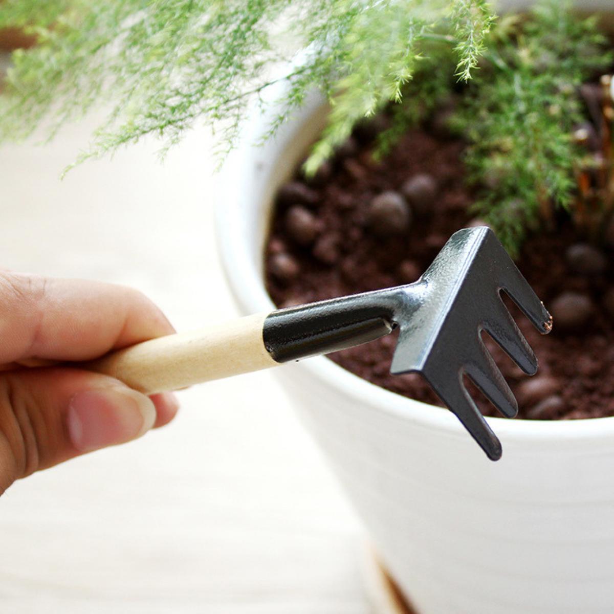 Bộ 3 Cuốc Xẻng Mini Chăm Sóc Cây Cảnh