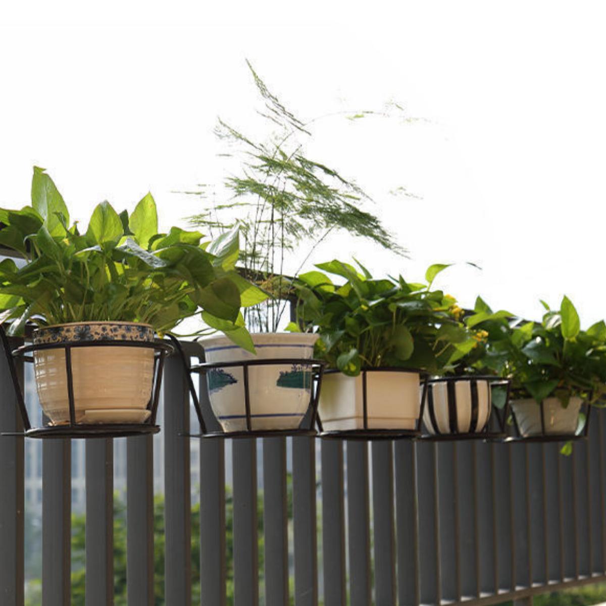 Giỏ Treo Chậu Hoa Ban Công Có Móc Đường Kính 22 Cm