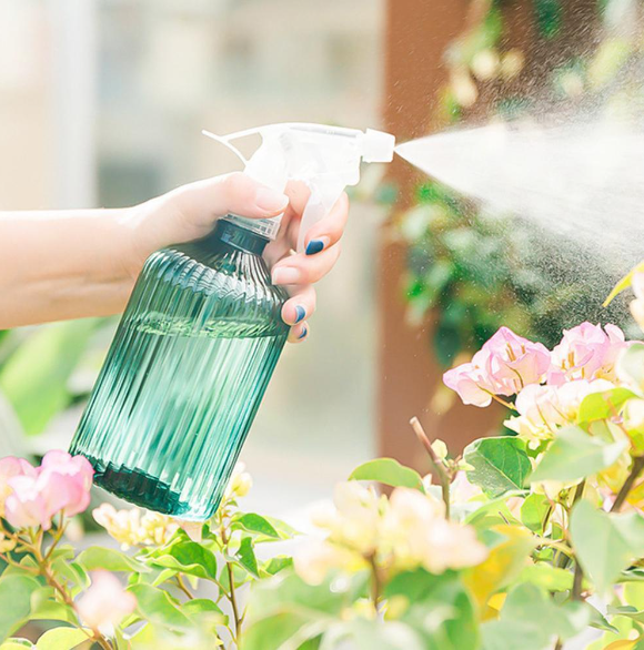 Bình xịt nước tưới cây tiện dụng 500ml