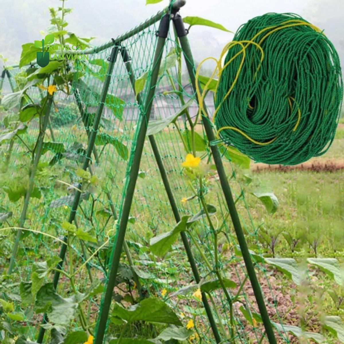Lưới Làm Giàn Cây Dây Leo Khổ 2 m x 2 m 5