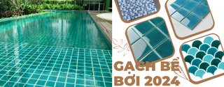 GẠCH BỂ BƠI 2024