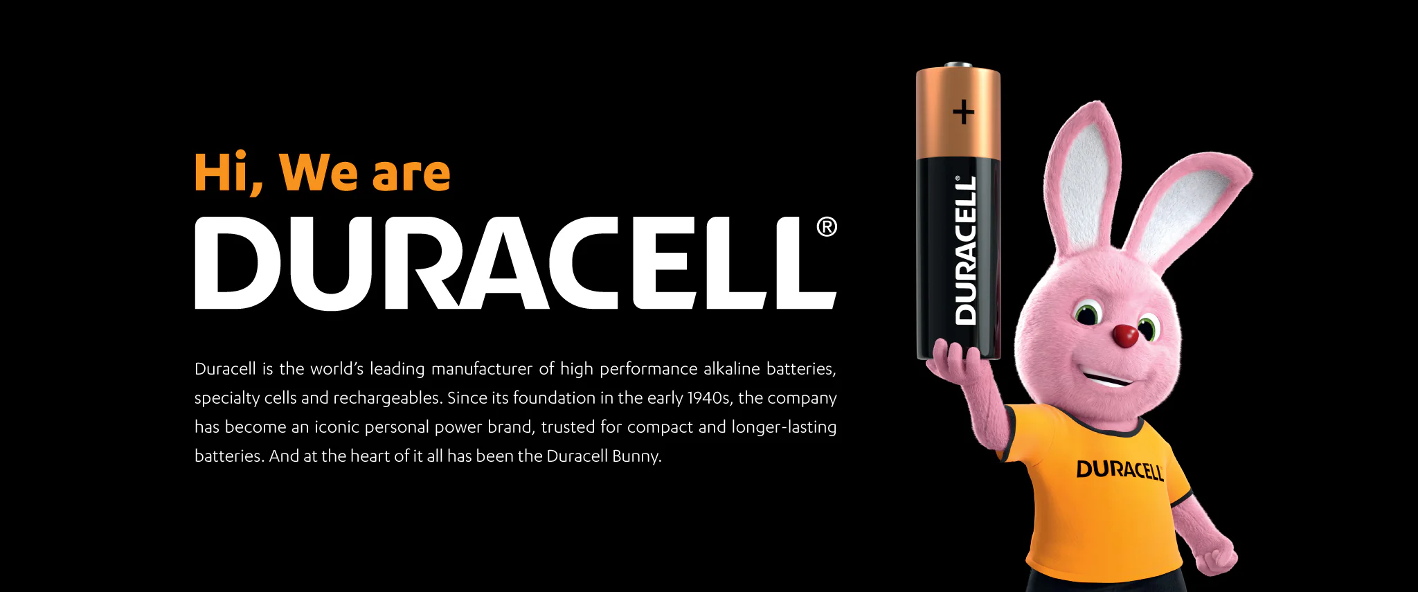 Nhà phân phối pin Duracell chính hãng - Pin Hồng Ngọc