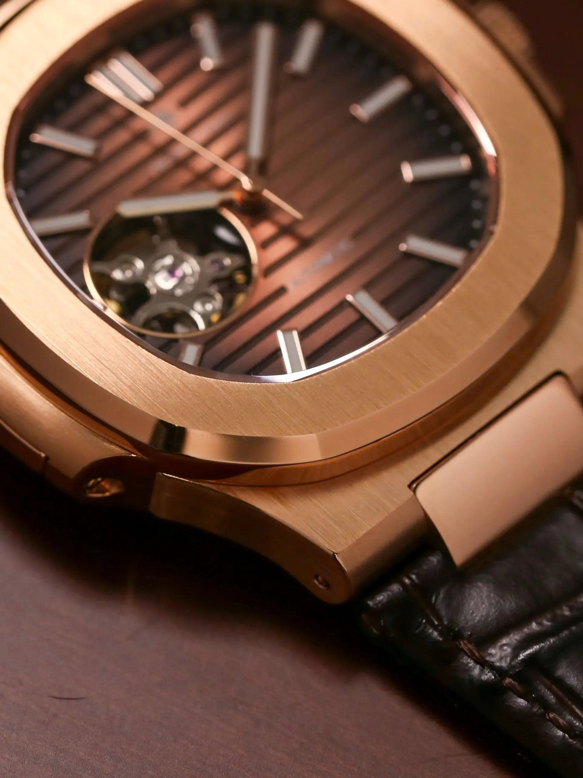 ĐỒNG HỒ ALEXANDER FERROS AUTOMATIC 6102R-08