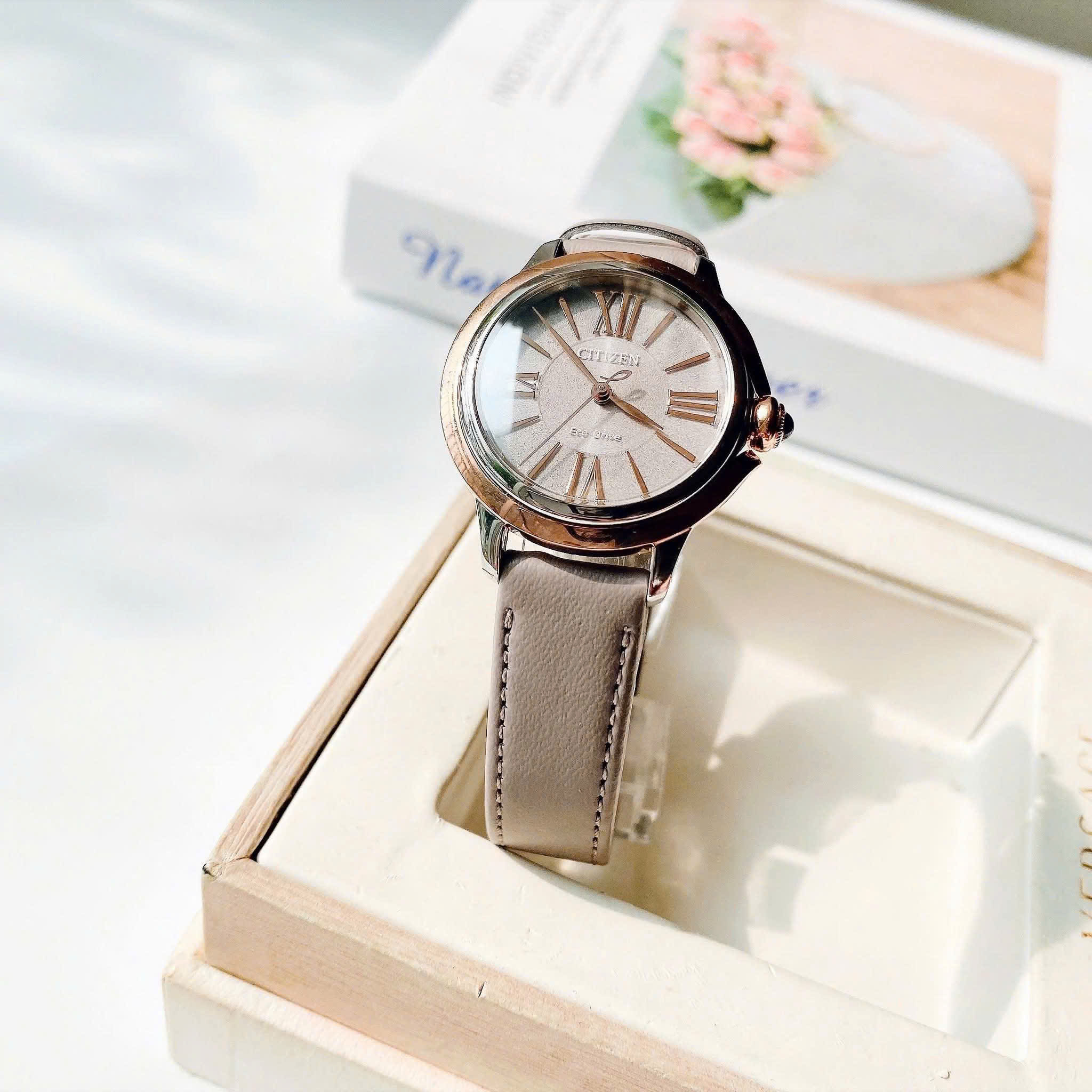 ĐỒNG HỒ NỮ CITIZEN CECCI ECO DRIVE EM1166-01Z