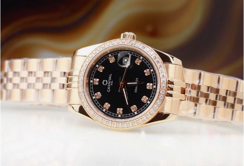 ĐỒNG HỒ NỮ CARNIVAL QUARTZ ĐEN 8131L2-VH-D