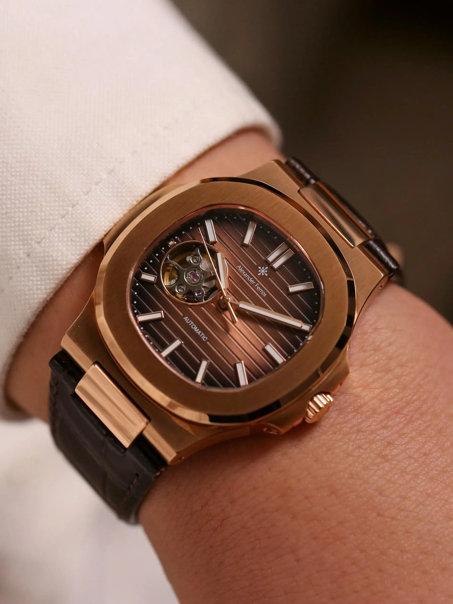 ĐỒNG HỒ ALEXANDER FERROS AUTOMATIC 6102R-08