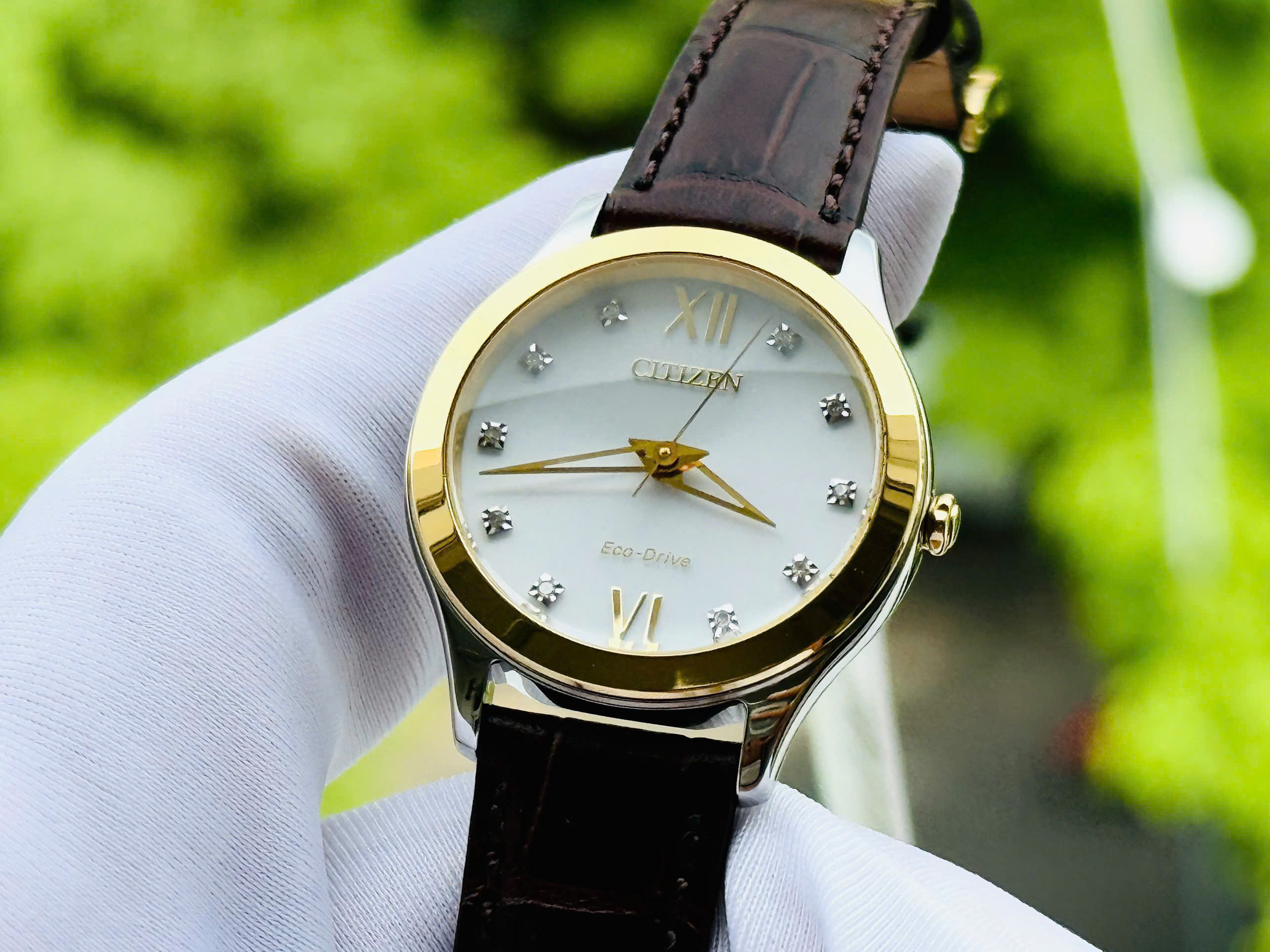 ĐỒNG HỒ NỮ CITIZEN ECO-DRIVE LTR WOMEN' EM1018-24A