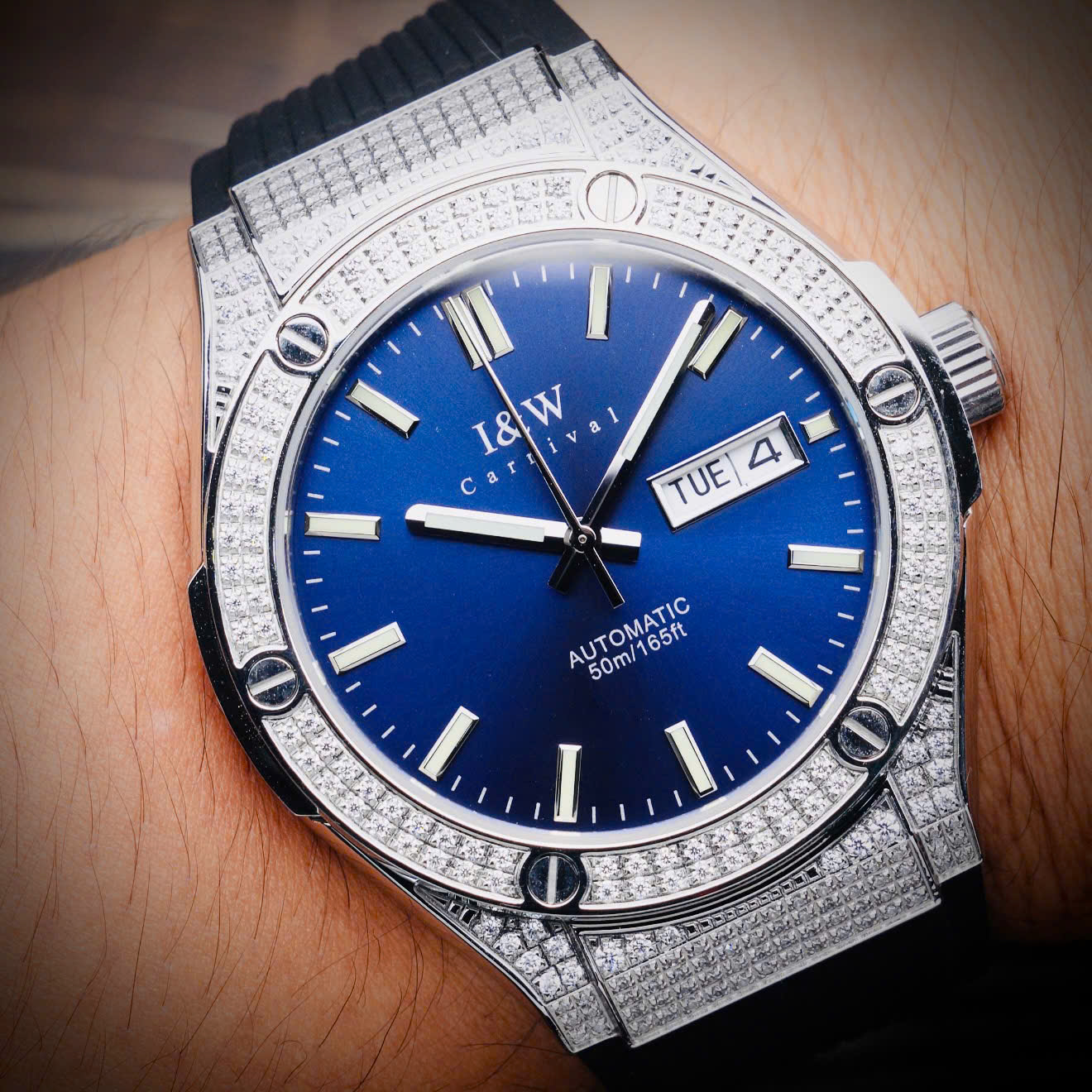 I&W CARNIVAL IW55851G5