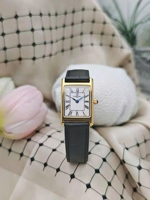 ĐỒNG HỒ NỮ CARNIVAL 8231L-VV-DD-T