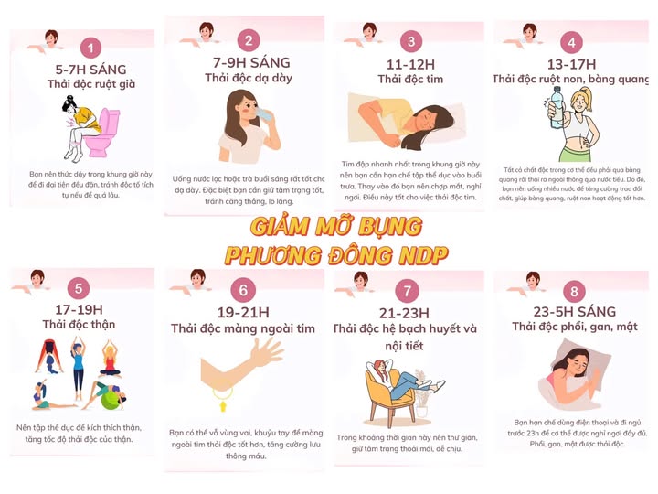 THẢI ĐỘC CƠ THỂ MỖI NGÀY - GIỮ SỨC KHOẺ LÂU DÀI
